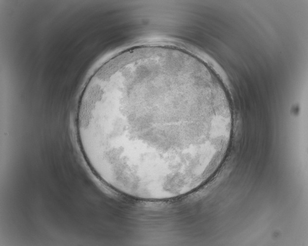 X0000116301429201001111108