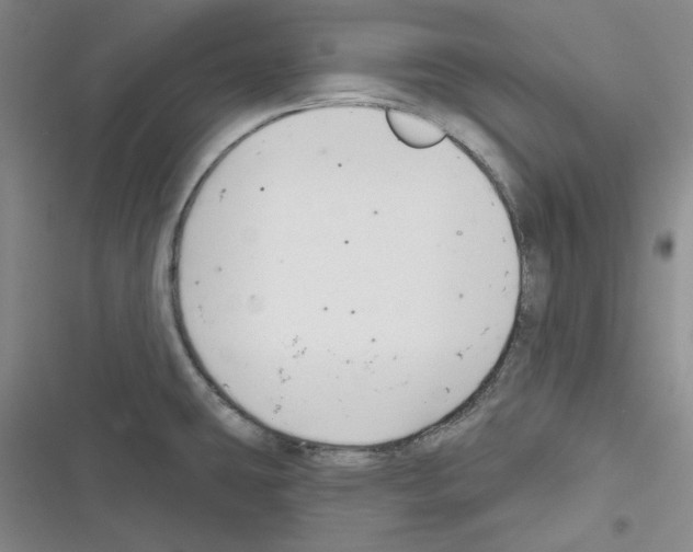 X0000116301431201001111108