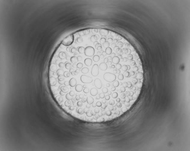 X0000116301432201001111108