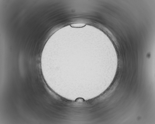 X0000116301433201001111108