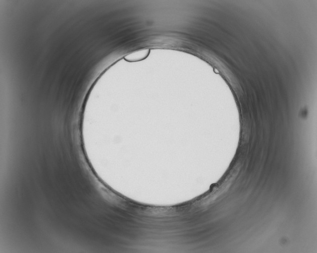 X0000116301434201001111108