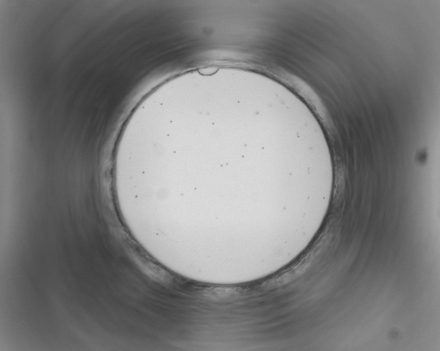 X0000116301435201001111108