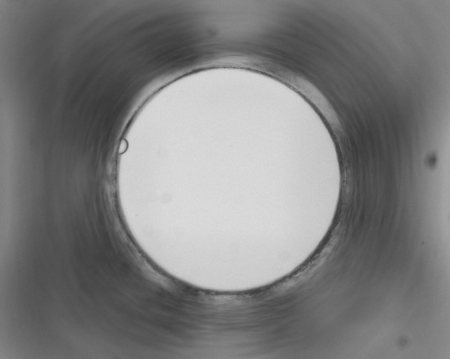 X0000116301436201001111108