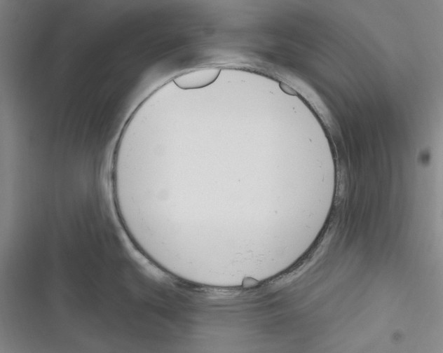 X0000116301439201001111108