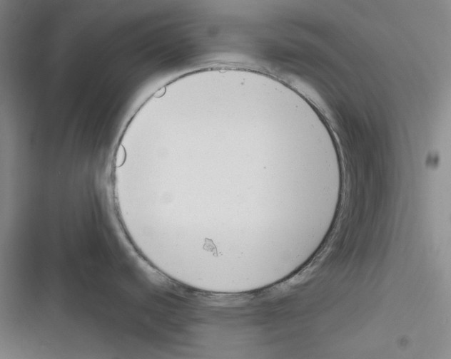 X0000116301440201001111108