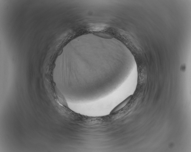 X0000116301441201001111107