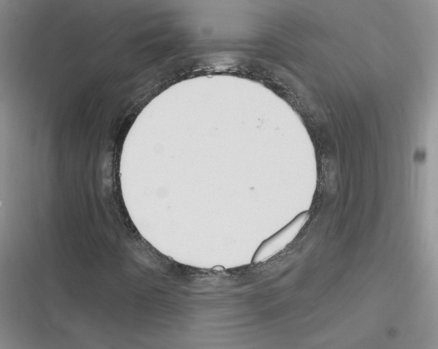 X0000116301442201001111107