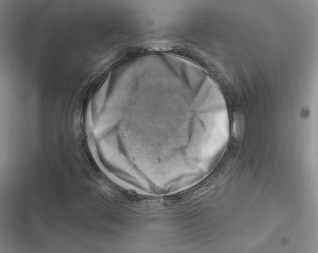 X0000116301444201001111107