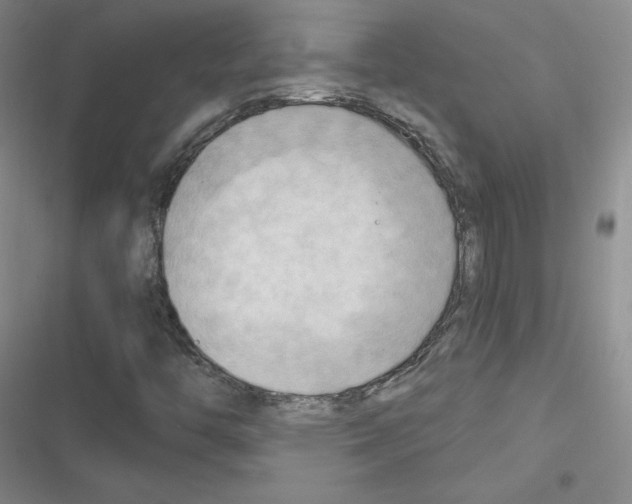 X0000116301446201001111107