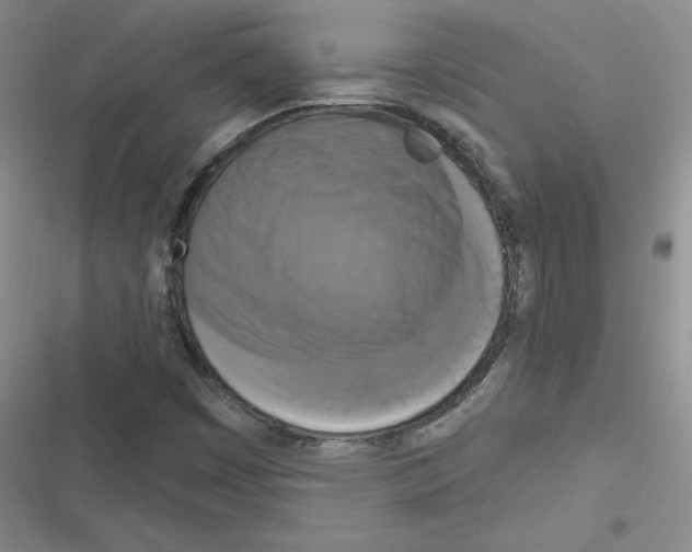 X0000116301449201001111107