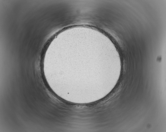 X0000116301452201001111107