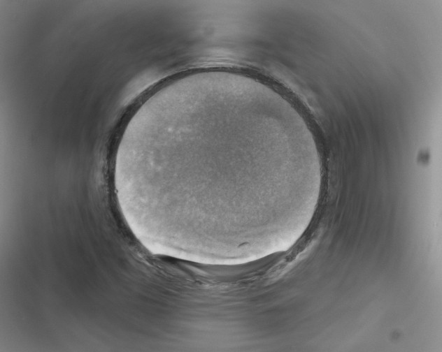 X0000116301453201001111107