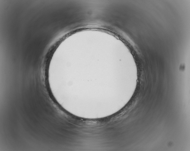 X0000116301456201001111107