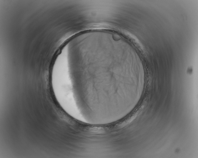 X0000116301457201001111107