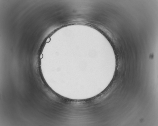 X0000116301458201001111107