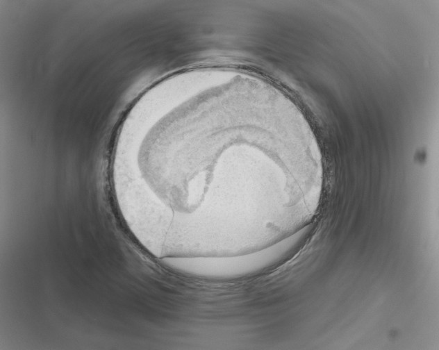 X0000116301459201001111107