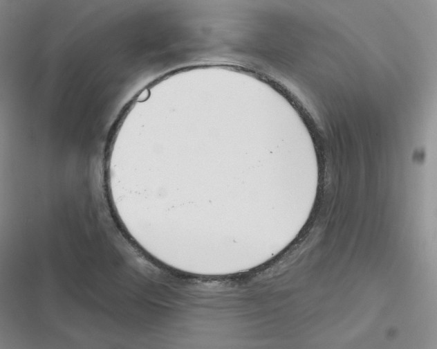 X0000116301460201001111107