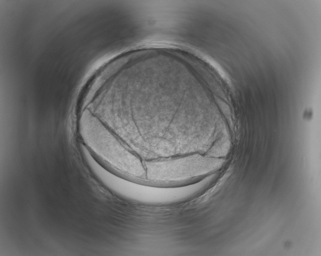 X0000116301461201001111107