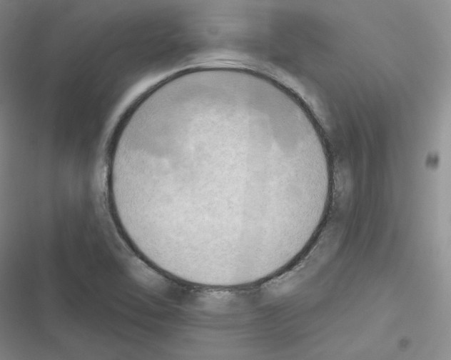 X0000116301462201001111107