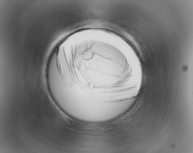 X0000116301464201001111107