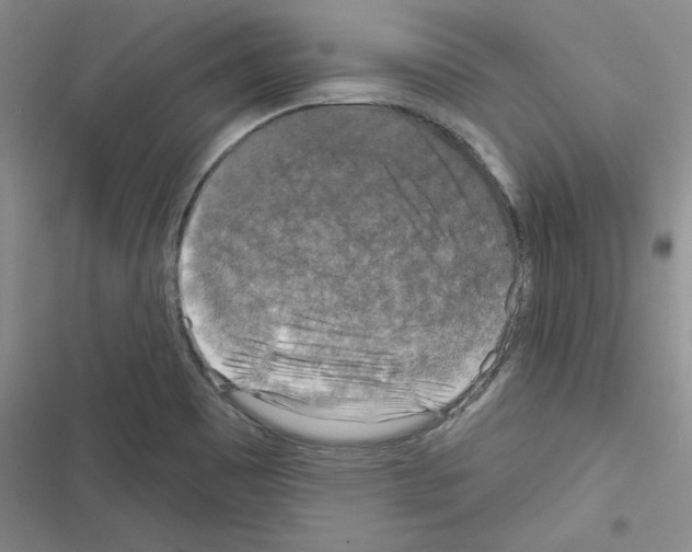 X0000116301465201001111107