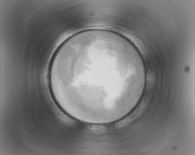 X0000116301466201001111107