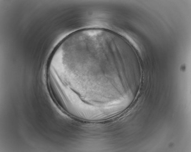 X0000116301468201001111107