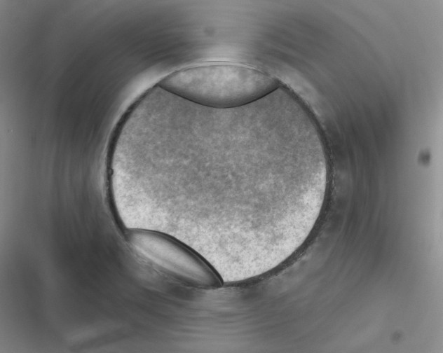 X0000116301469201001111107