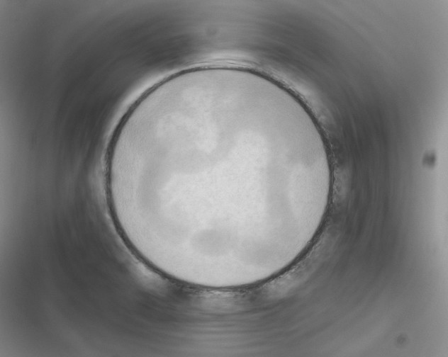 X0000116301470201001111107