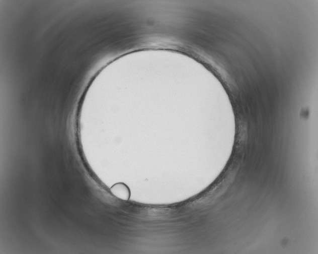 X0000116301471201001111107