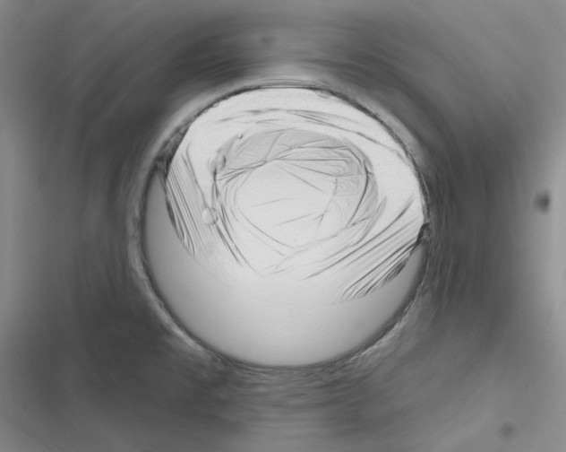 X0000116301477201001111107