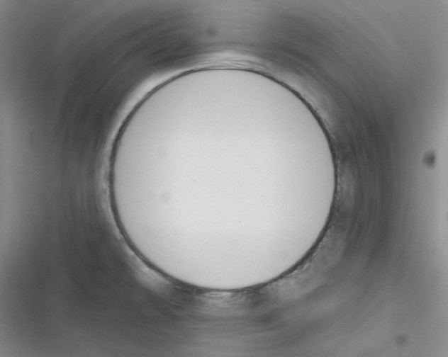 X0000116301478201001111107