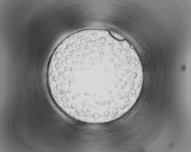 X0000116301479201001111107