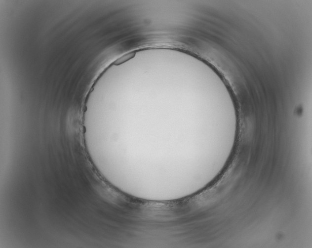 X0000116301481201001111107