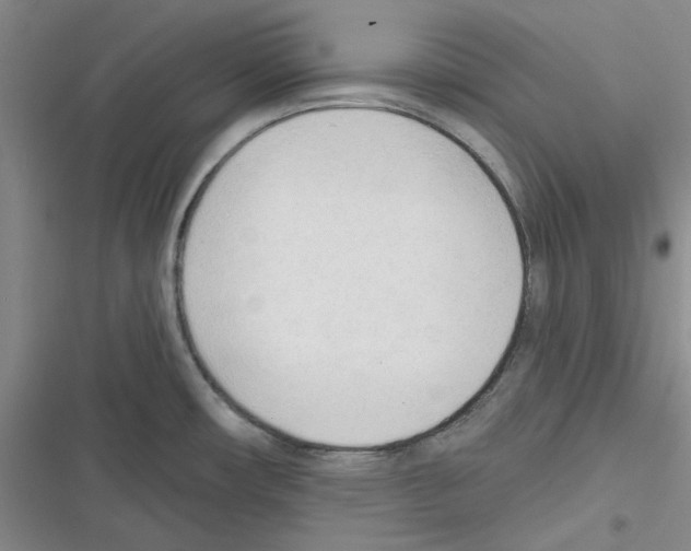 X0000116301482201001111107