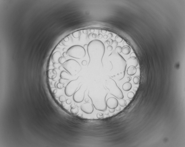 X0000116301483201001111107