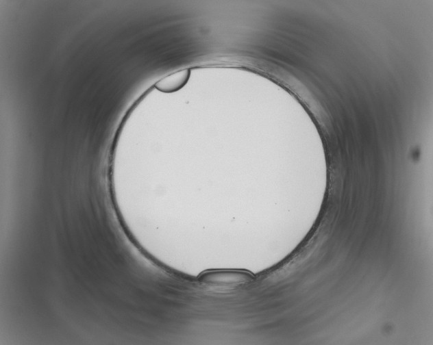 X0000116301484201001111107