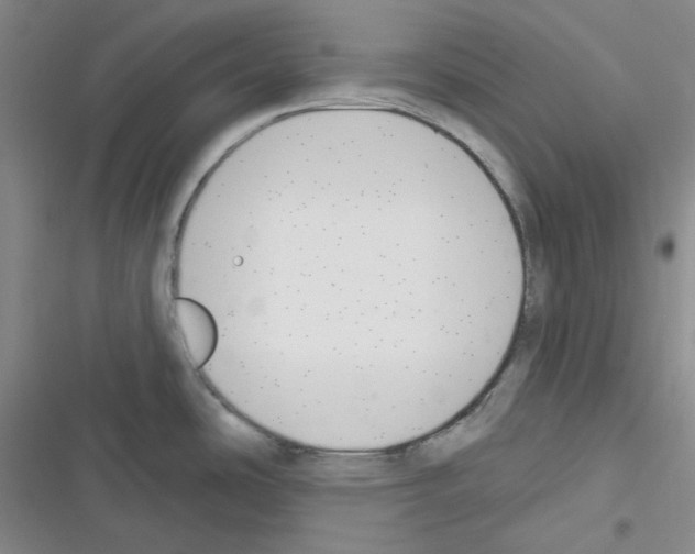 X0000116301486201001111107