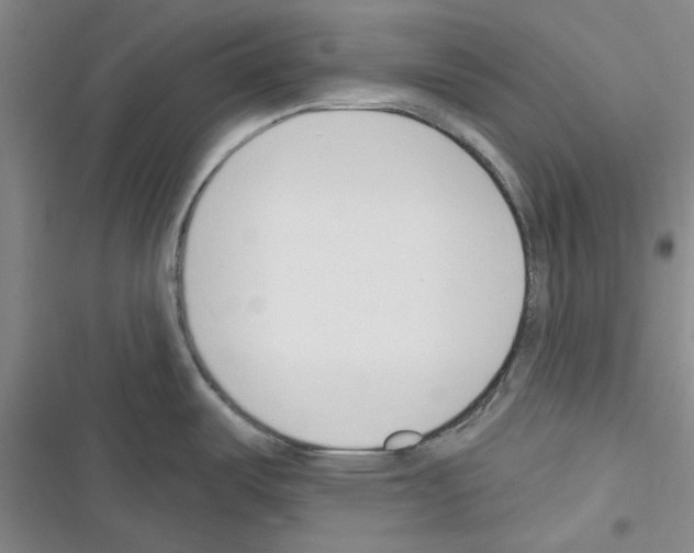 X0000116301487201001111107