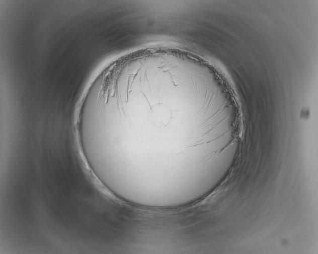 X0000116301488201001111107