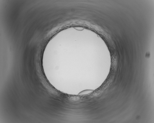 X0000116301489201001111106