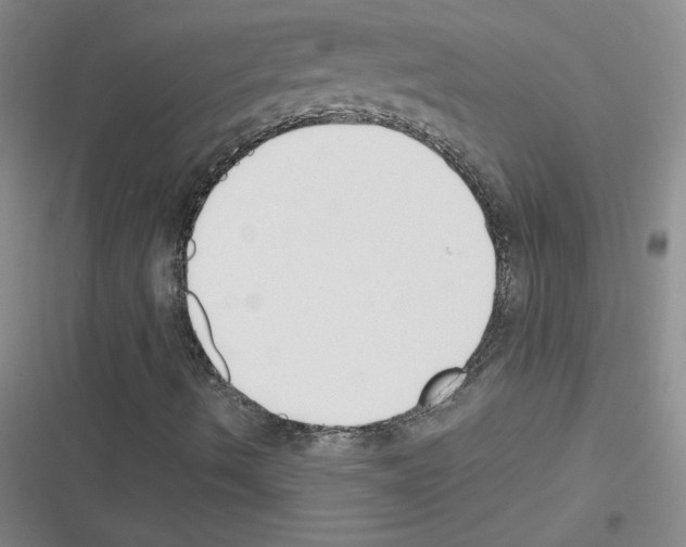 X0000116301490201001111106