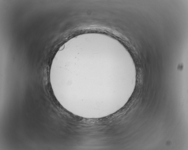 X0000116301493201001111106