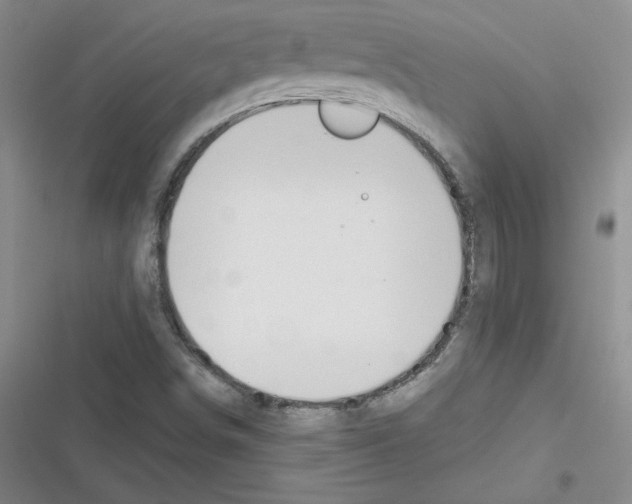 X0000116301498201001111106