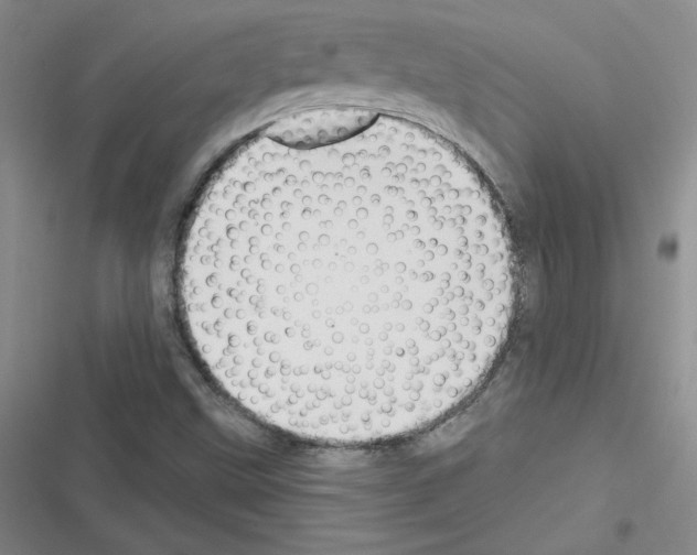 X0000116301499201001111106