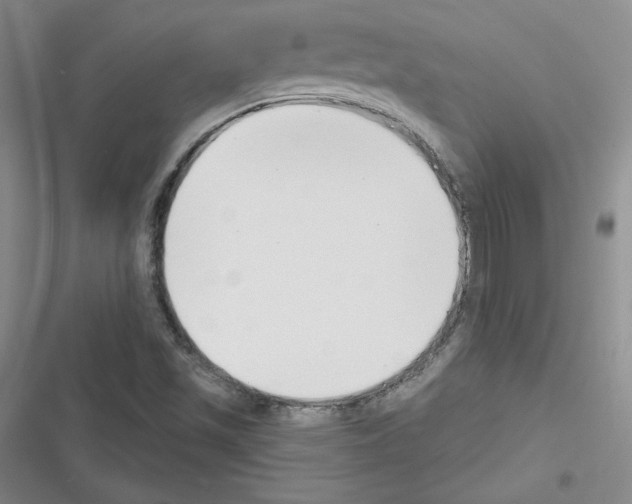 X0000116301501201001111106