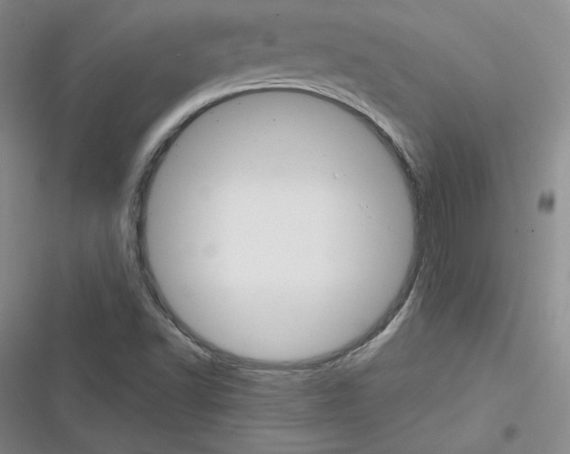 X0000116301502201001111106