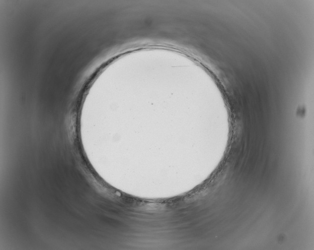 X0000116301503201001111106