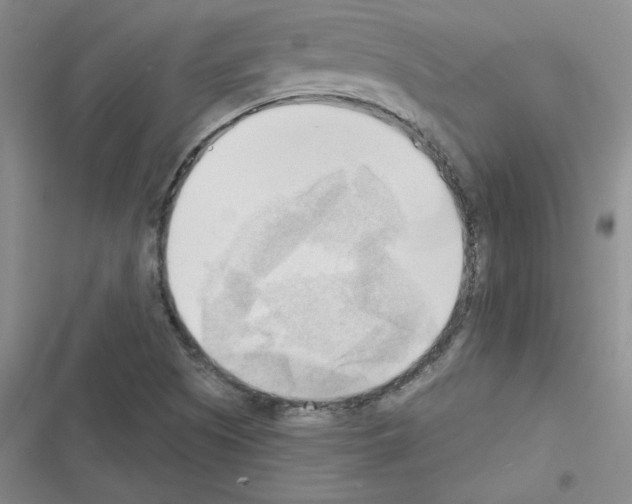 X0000116301505201001111106