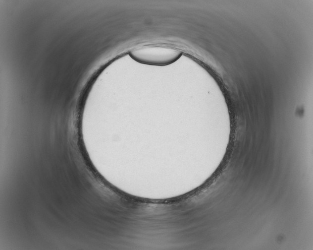 X0000116301506201001111106